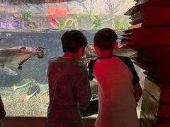 -太平洋海底世界