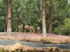 -北京野生动物园