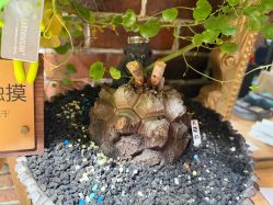 -青木造型HAIR·あおき髪を刈る潮人店