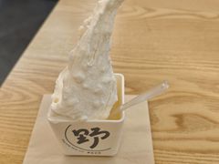 -野人先生Gelato(上海长宁龙之梦店)