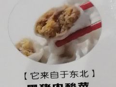 黑猪肉酸菜-老边饺子馆(东单店)