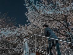 -南浦大桥长途旅游客运站