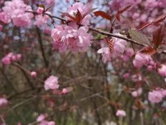 -重庆云阳龙缸景区