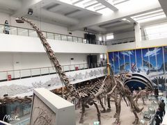 -中国地质大学逸夫博物馆