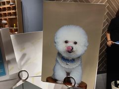 -海马体照相馆(徐州苏宁广场店)