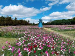 -东滩湿地公园观海楼餐厅