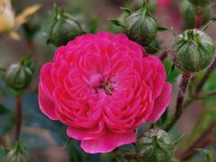 -汉长安城未央宫国家考古遗址公园