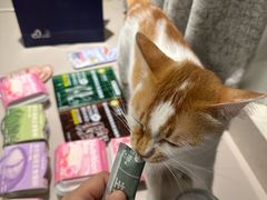 -拜鲁耶动物诊疗中心·宠家动物医院