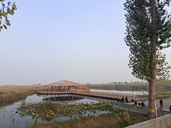 -白洋淀景区