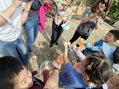 -樂桃源奉贤黄桃种植采摘基地