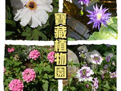 -国家植物园南园