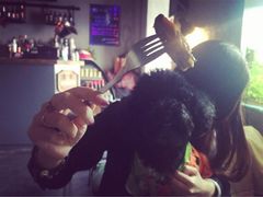 iphone_upload_pic-百好乐宠物友好餐厅(朝外大街店)