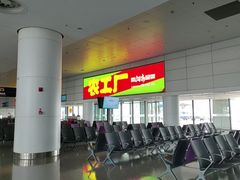 -郑州新郑国际机场-T2航站楼