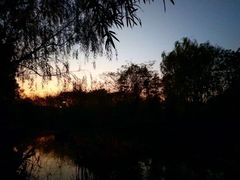 -新江湾城公园