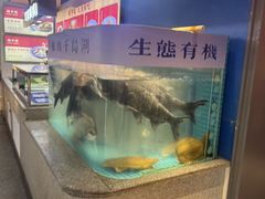 -鸽子侯·家宴·平价海鲜(市图书馆店)