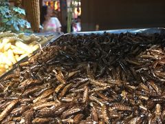 -昆虫窝子·特色云南菜(拓东路总店)