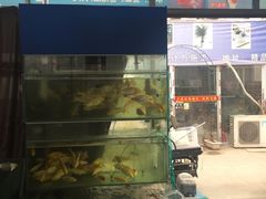 -龙大花卉苗木市场