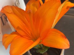 -大董(阜成路店)