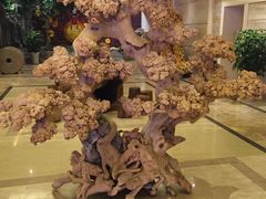 -阿斯牛牛·凉山菜(新会展店)