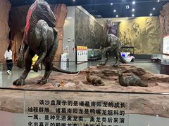 -中国西峡恐龙遗迹园