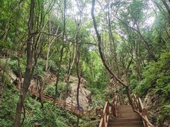 -大岭沟猕猴桃谷风景区