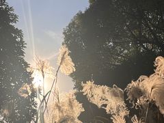 -梁鸿国家湿地公园