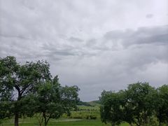 -塞罕坝国家级自然保护区