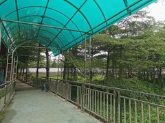 -新塘水果乐园(东洲大道店)