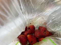 -雪儿钱局泡菜