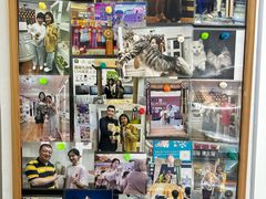 -青奢宠物·青奢猫舍