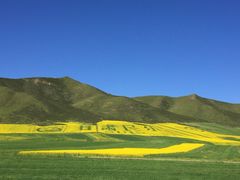 扁都口生态休闲旅游区-扁都口生态休闲旅游区