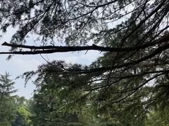 -花溪公园