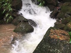 -藏龙百瀑风景区