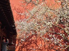 -钱王祠