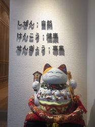 -一本X目奈子日式单根美睫专业店