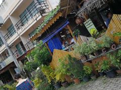 -Jungle Kitchen