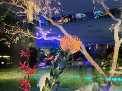 -九献创意菜·牛排馆(亮马河花园店)