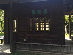 -上海鲜花港