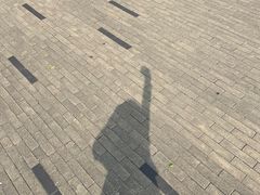 -深圳湾公园(南山区)