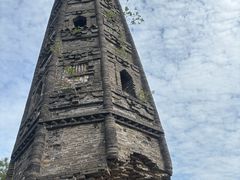 -上海佘山国家森林公园天马山园