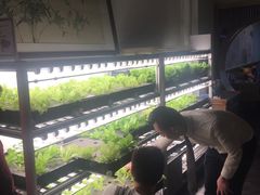 -院落创意菜