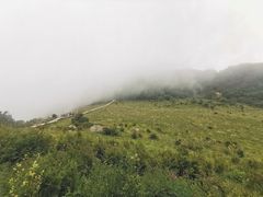 -白草畔自然风景区