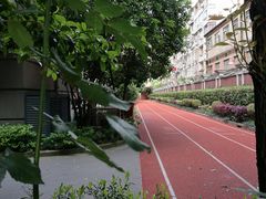 -上海市黄浦区卢湾第一中心小学