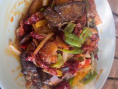 -柴窝堡22号辣子鸡·传承新疆菜