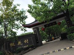 -南汇桃花村
