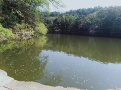 -韶山毛泽东同志故居