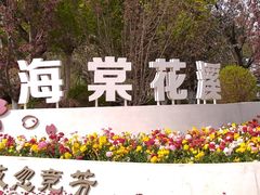 -海棠花溪(元大都城垣遗址公园)