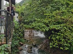-莫干山风景区