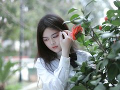 -常德桃花源景区