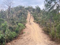 -青龙山国家森林公园
